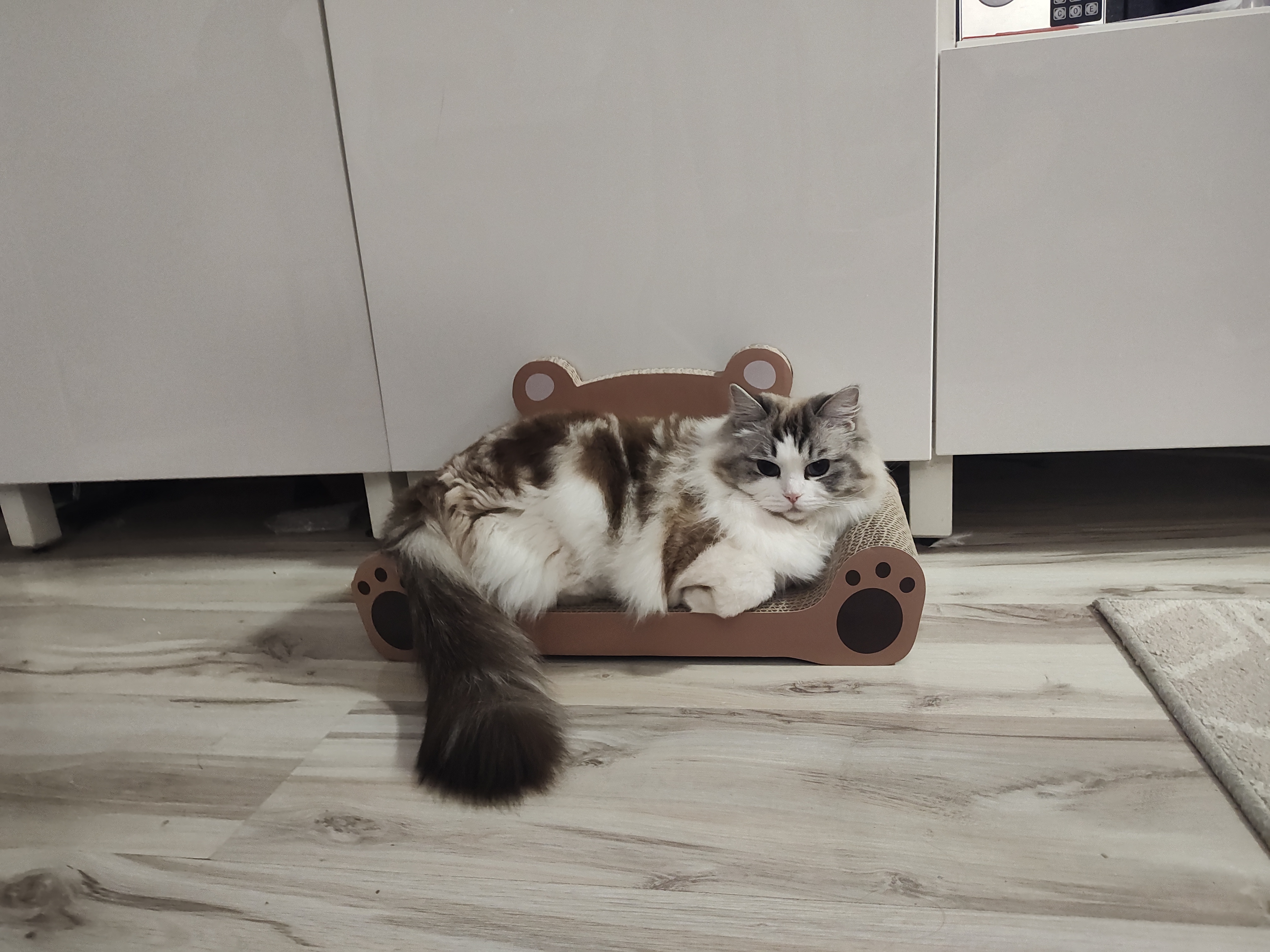 Emili
